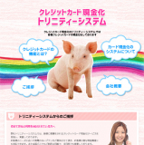 トリニティシステム